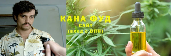 PSILOCYBIN Алзамай