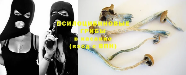 mdma Горняк