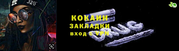 PSILOCYBIN Алзамай