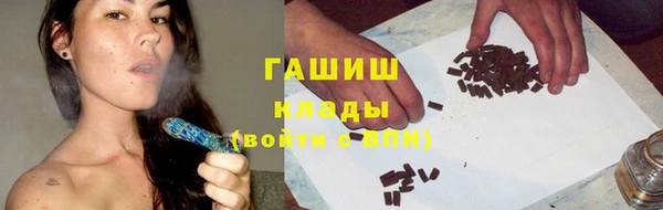 PSILOCYBIN Алзамай