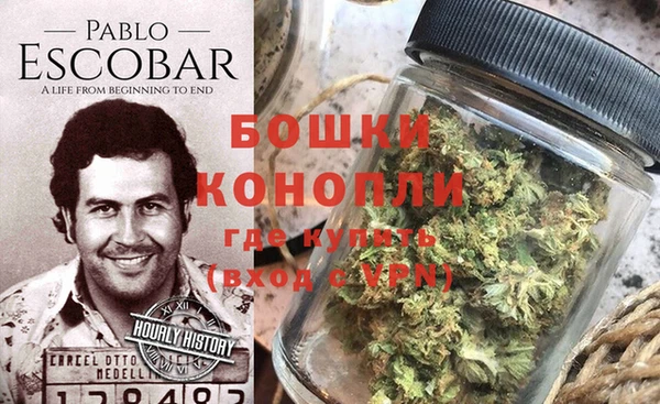 PSILOCYBIN Алзамай