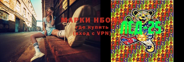 PSILOCYBIN Алзамай