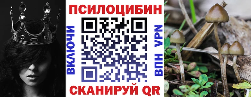 Галлюциногенные грибы мицелий даркнет сайт Пермь